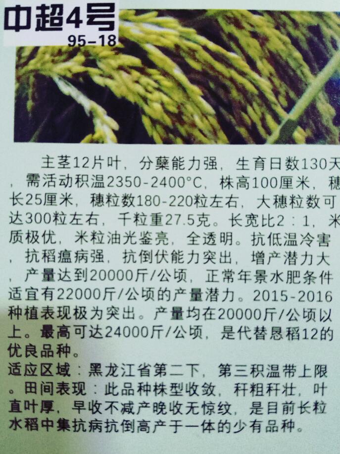尚志农资供应中**4号水稻种子 抗病强抗倒伏 高产水稻品种种子