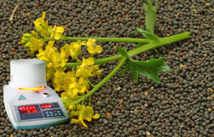 油菜籽的水分控制，依照国标精准快速检测油菜籽含水率