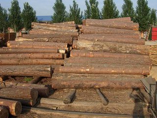 大连木材|板材进口清关|报关具体流程及费用