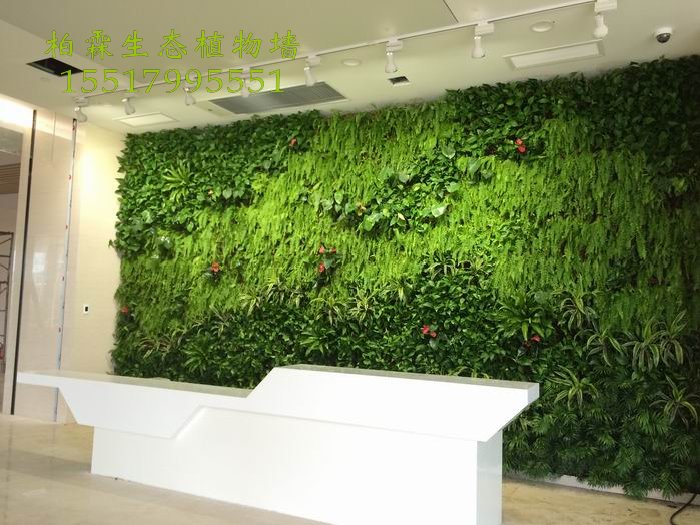 植物墙培训的内容|垂直绿化|立体绿化|植物墙公司