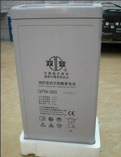 江苏双登蓄电池GFM200