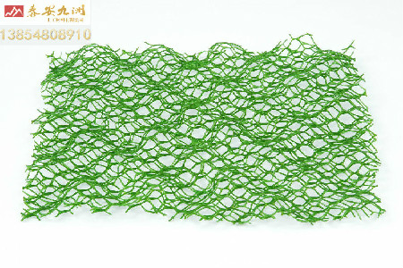 新疆三维植被网，高强度三维护坡绿化三维网