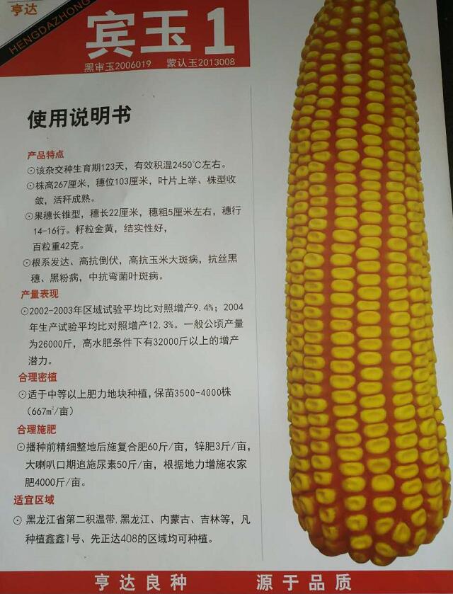 林口农资经销宾玉1玉米种子 玉米种子供应价格 高产抗病