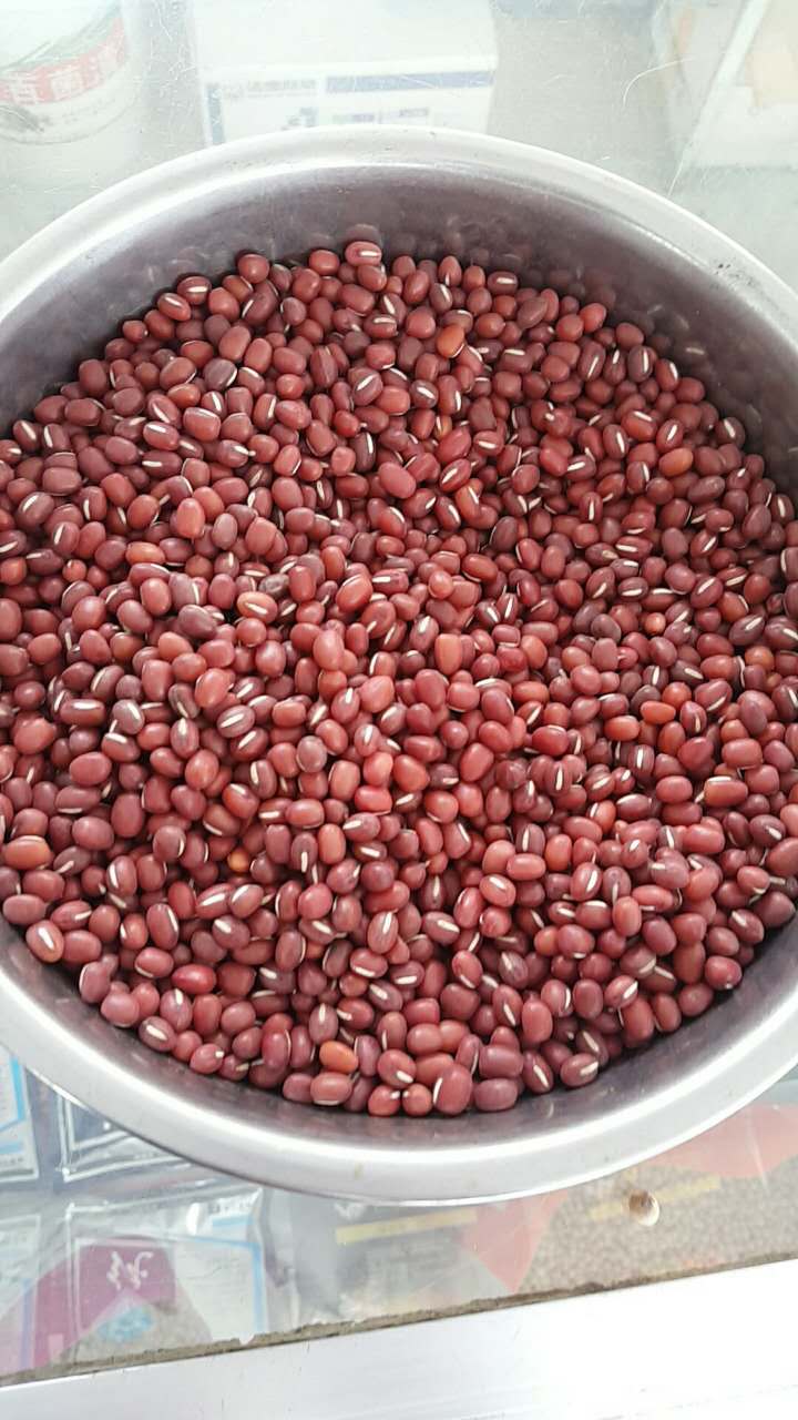 敦化粮贸供应优质红小豆 农家精选红豆赤豆价格