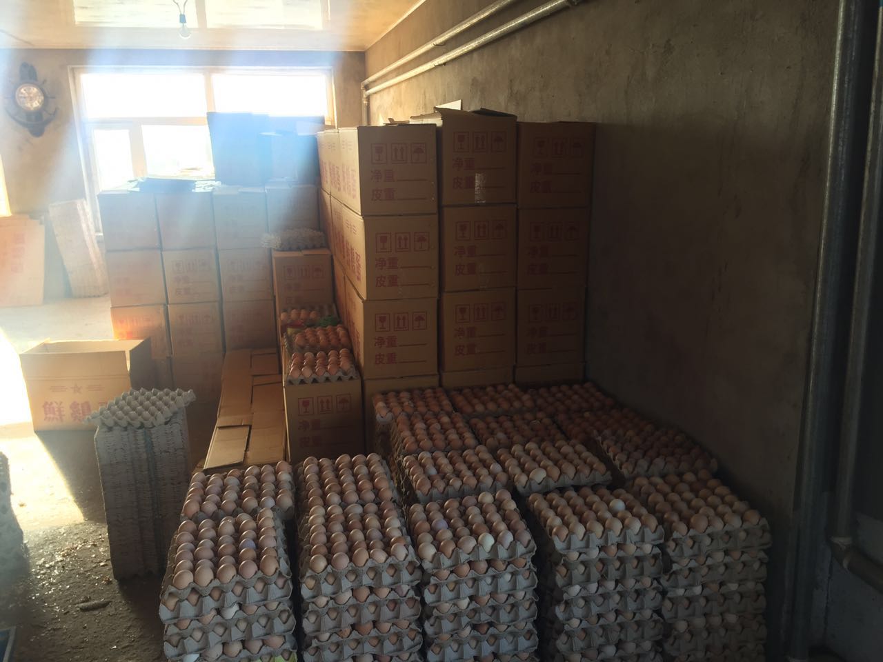 鸡蛋与豆浆能能不能一起吃 _黑龙江省安达市鲜鸡蛋厂家供应