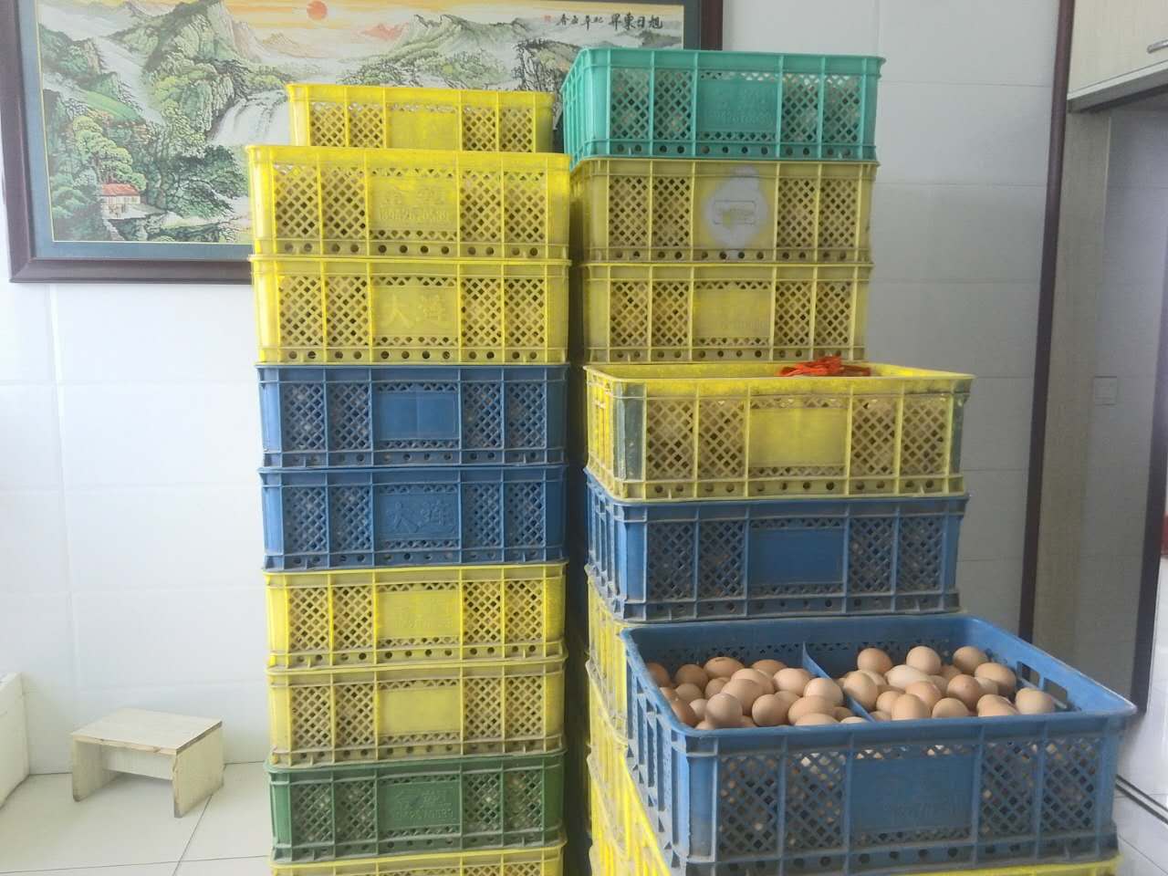 黑龙江精品鸡蛋供应销售，黑龙江大庆市精品鸡蛋供应找哪家