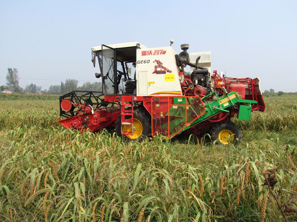 河南中旗农机供应和收割机配套使用的秸秆打捆机