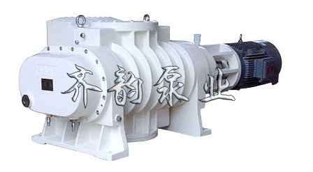 2BV真空泵生产厂家-齐韵泵业-2BV水环式真空泵生产厂家