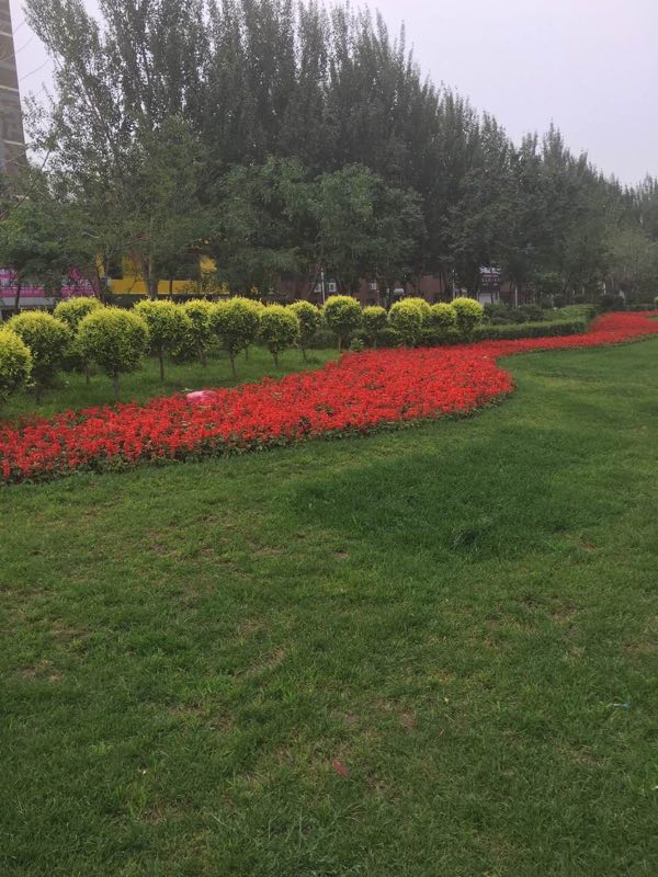 黑龙江园林绿化工程
