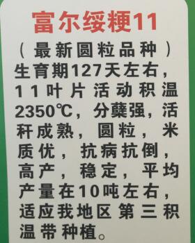 密山水稻种子批发 优质高产圆粒水稻种子 富尔绥粳水稻种子