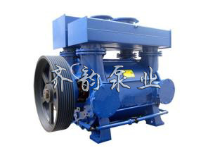 2BV水环式真空泵价格,2BV水环式真空泵生产厂家,齐韵泵业