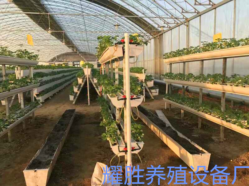 阳台种植槽厂家批发采摘园草莓立体种植槽