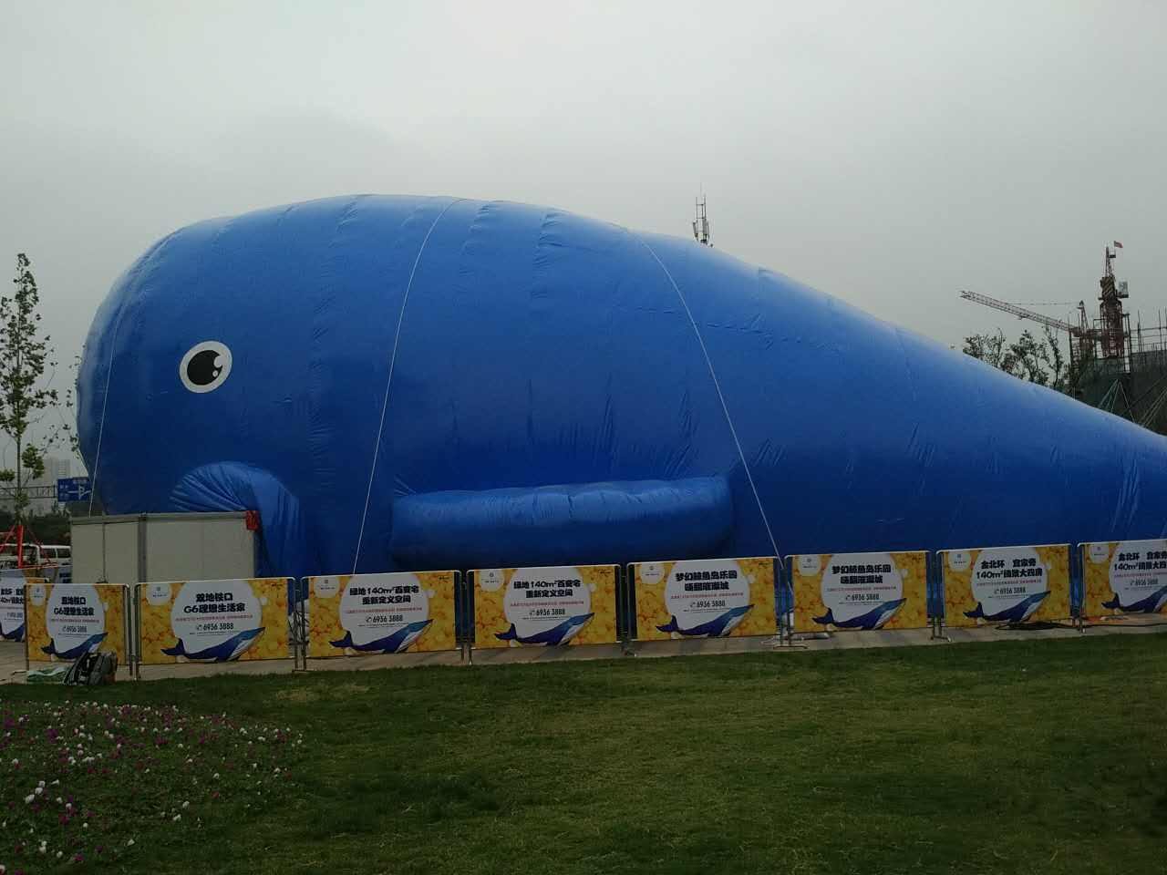 鲸鱼岛乐园出租蓝鲸气模明细报价百万海洋球租赁的详细布展租赁