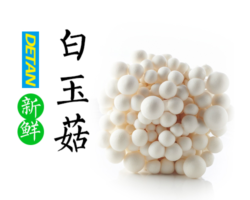 供应fresh mushroom食用菌鲜品White Shimeji白玉菇150g/包