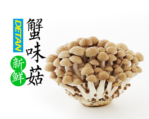 供应食用菌鲜品Brown Shimeji蟹味菇 150g/包