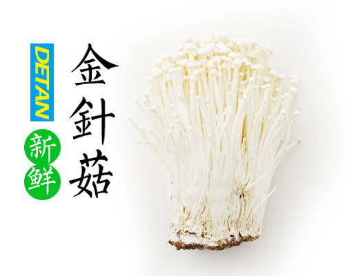 供应fresh mushroom食用菌鲜品Enoki -金针菇