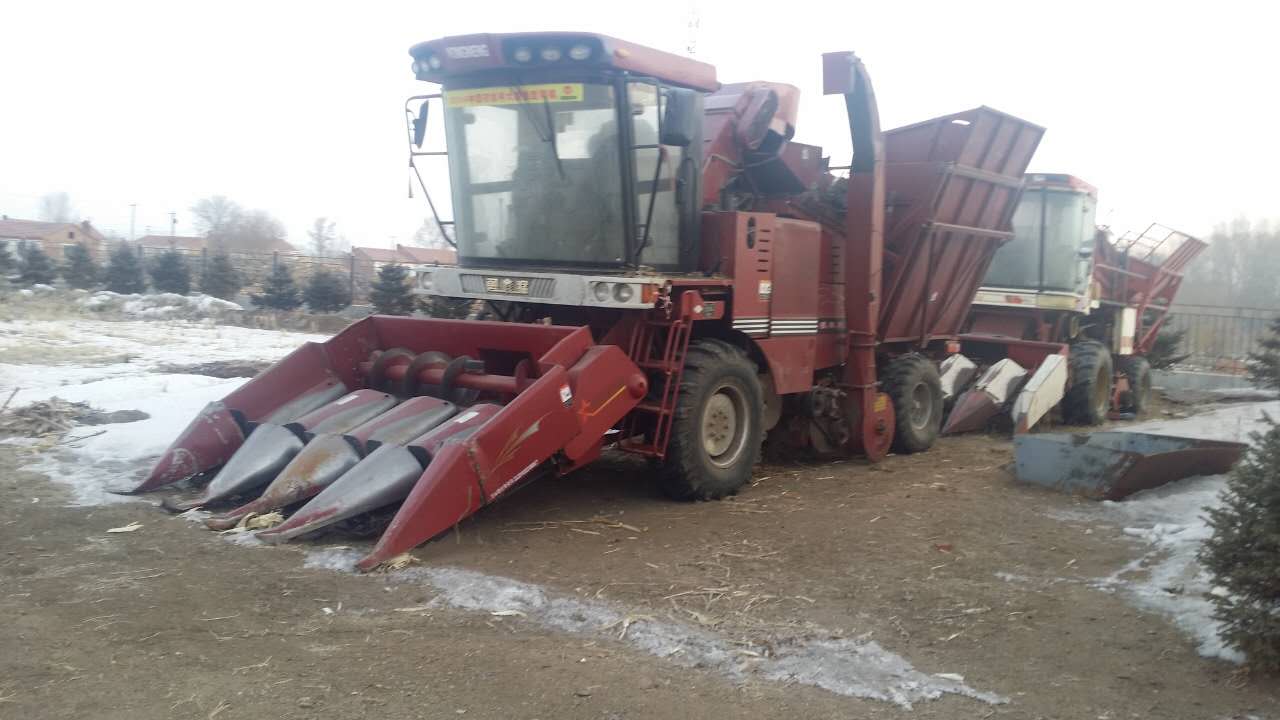 齐齐哈尔市梅里斯达斡尔族区粟丰玉米种植专业合作社