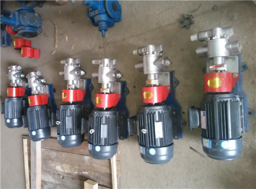 沧州源鸿泵业供应RY65-50-160导热油泵，导热油循环泵，不锈钢齿轮泵，齿轮泵系列