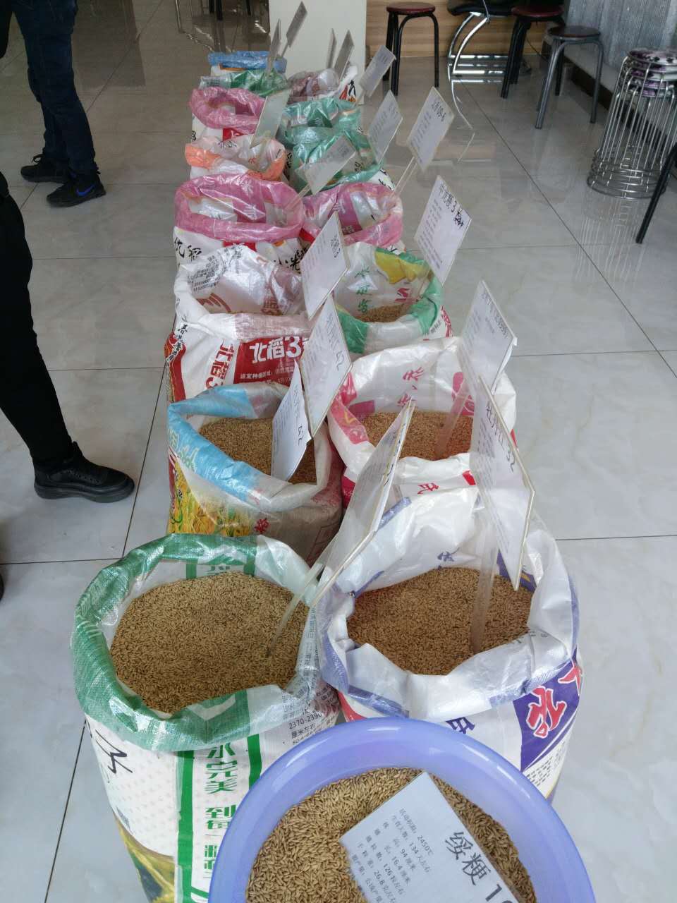 水稻种子如何正确贮藏_黑龙江昂昂溪区水稻种子供应批发
