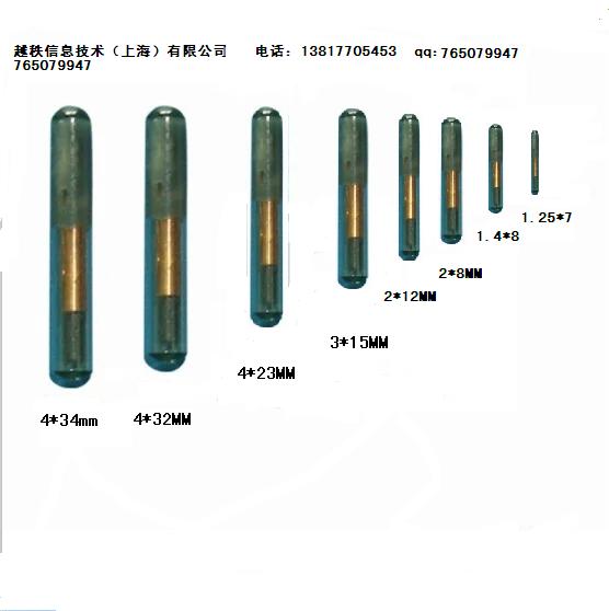 越秩信息技术（上海）有限公司