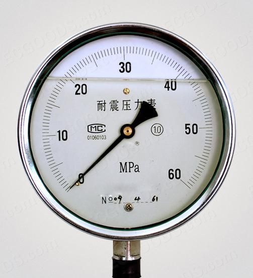 南京不锈钢耐震压力表,南京不锈钢耐震压力表品牌,质普仪器仪表
