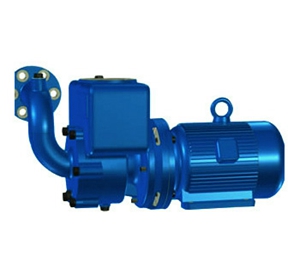 供应CWX系列自吸离心旋涡泵，离心泵的一种泊头市翼扬泵业销售