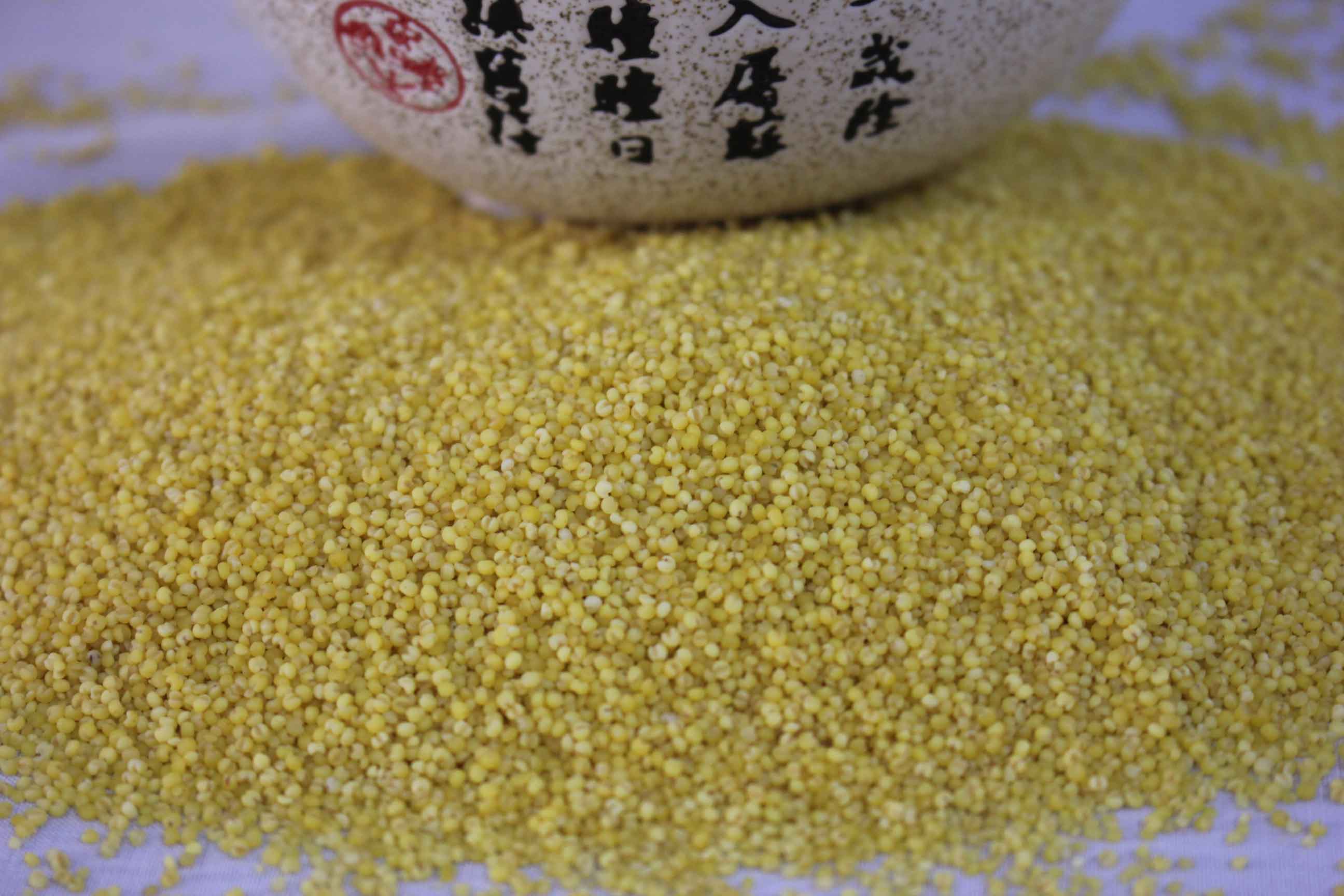 小米的禁忌搭配与小米的相宜搭配_黑龙江东北小米批发供应