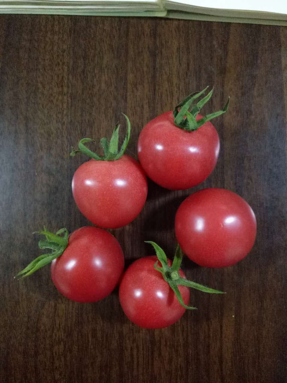 有机蔬菜种植基地 新鲜无公害蔬菜西红柿番茄