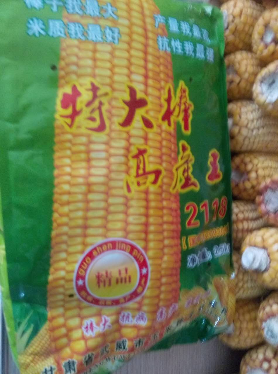 玉米**肥的使用方法和使用好处_黑龙江安达玉米**肥