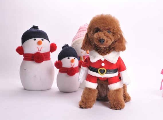 现货立体圣诞服新款 小狗衣服 宠物服饰 宠物圣诞节衣 外贸厂**