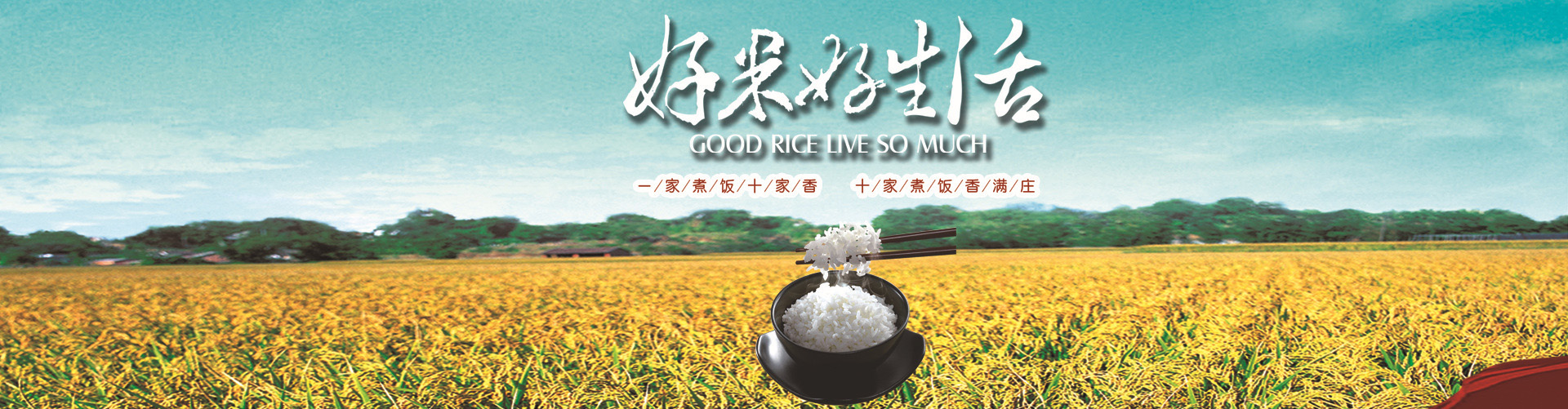 五常稻花香大米专卖店 精选优质五常稻花香大米