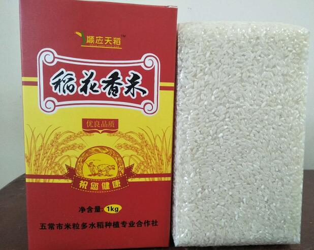 五常特产稻花香米常年供货 种植基地直销稻花香大米 好货货源