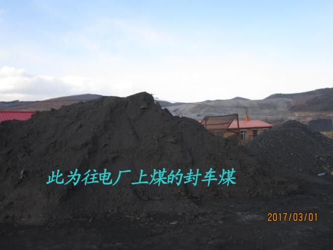 鸡西大型煤矿生产电煤 高热量电煤环保无烟煤