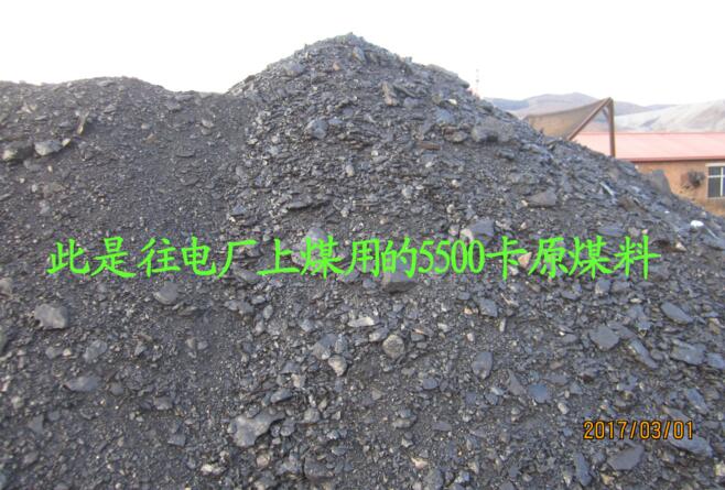 鸡西专业电煤直销厂家 工业用优质煤炭环保电煤 量多优惠