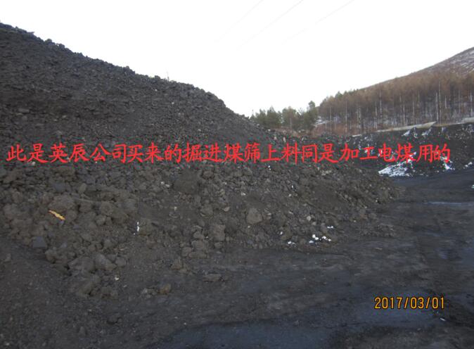 鸡西煤炭公司大量供应电煤 煤炭加工厂直销电煤