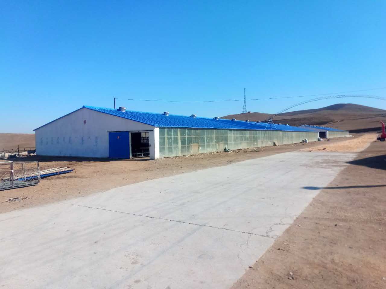 内蒙古肉羊养殖场