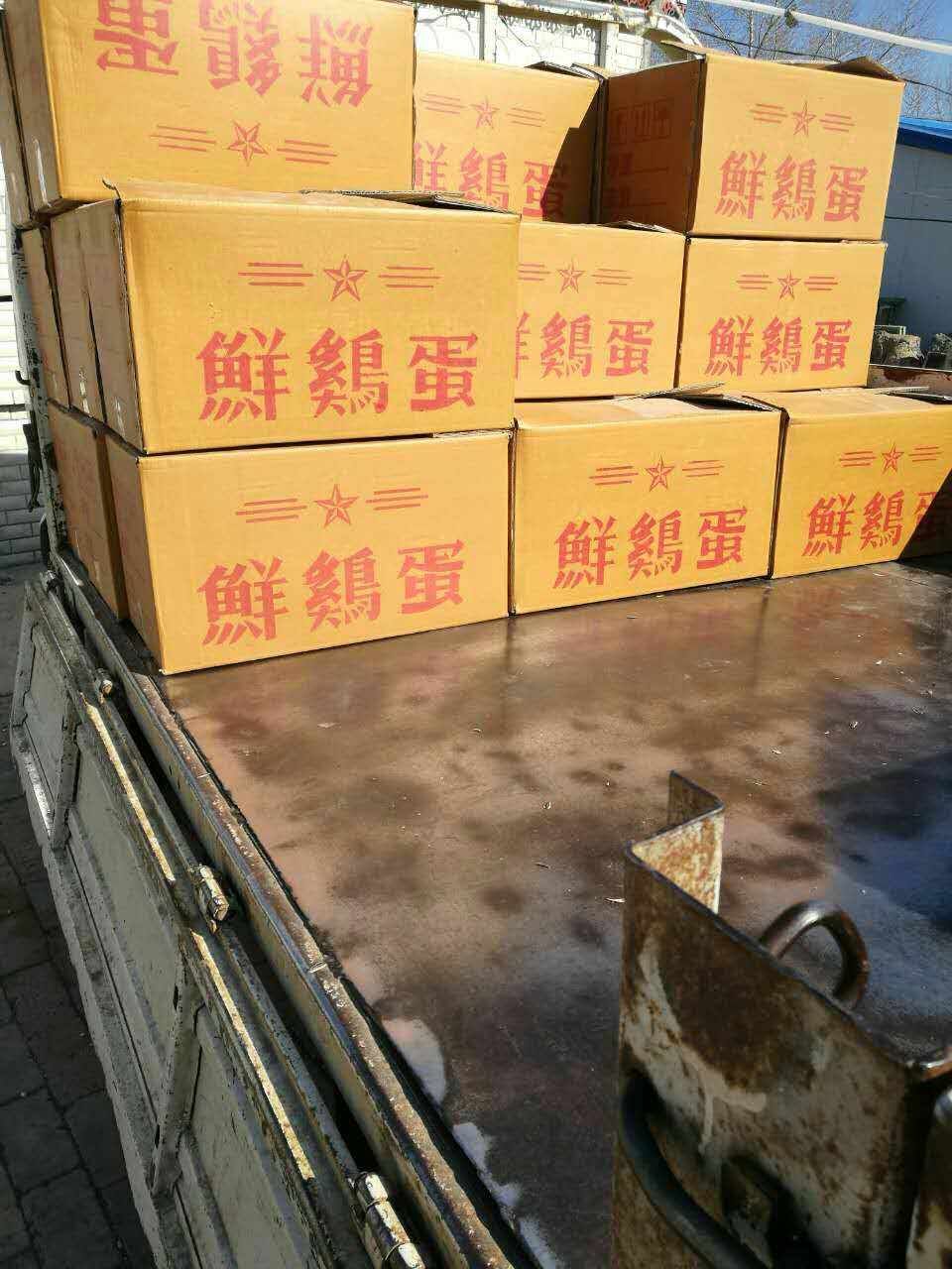 黑龙江大庆鲜鸡蛋供应批发找哪家，黑龙江肉鸡供应销售价格