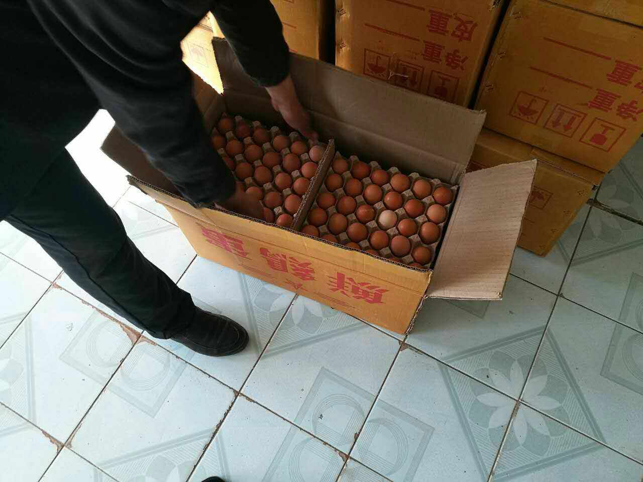黑龙江大庆肇源鲜鸡蛋供应销售_如何判断鸡蛋是否新鲜