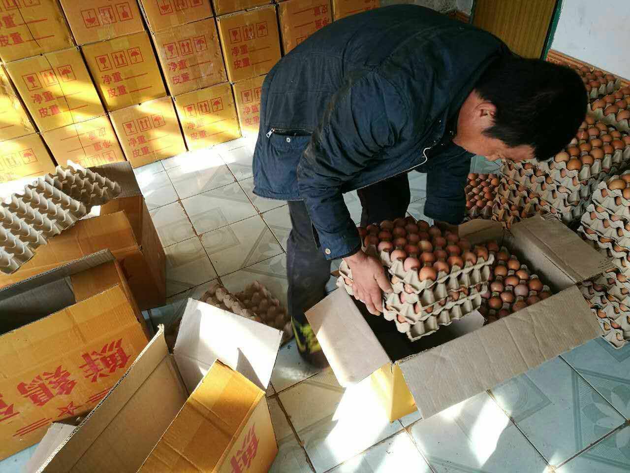 大庆肇源县鲜鸡蛋供应销售_如何挑选鲜鸡蛋 鲜鸡蛋的判断方法