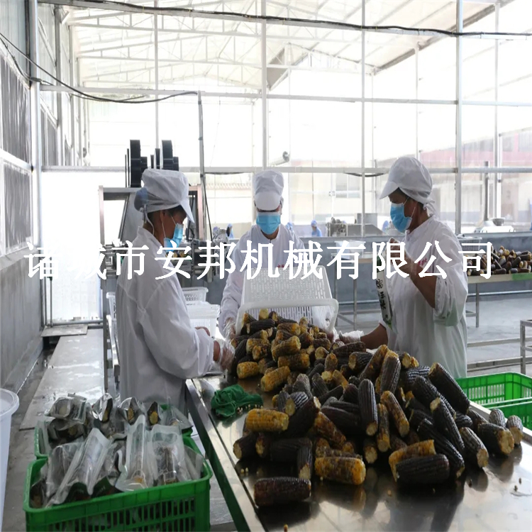 厂家专业生产大姜清洗机 质量可靠