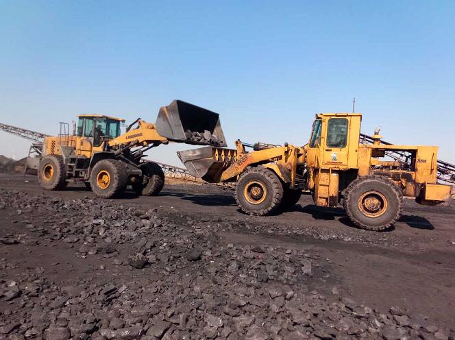 集贤专业洗选煤炭公司 煤炭洗选厂各种优质粉煤原煤 低灰低硫