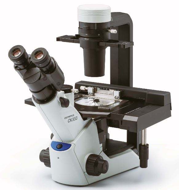 全新的徕卡DM3000-DM3000LED光学显微镜有