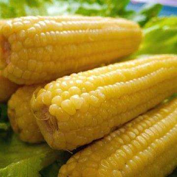 黑龙江大庆市玉米供应找哪家 _玉米的营养的价值