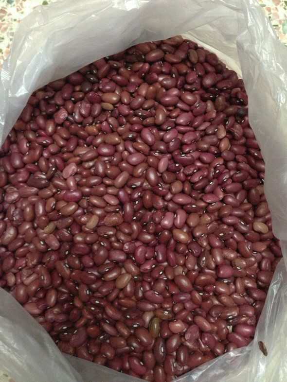 黑龙江北安县红小豆供应销售_赤小豆和红豆有什么区别