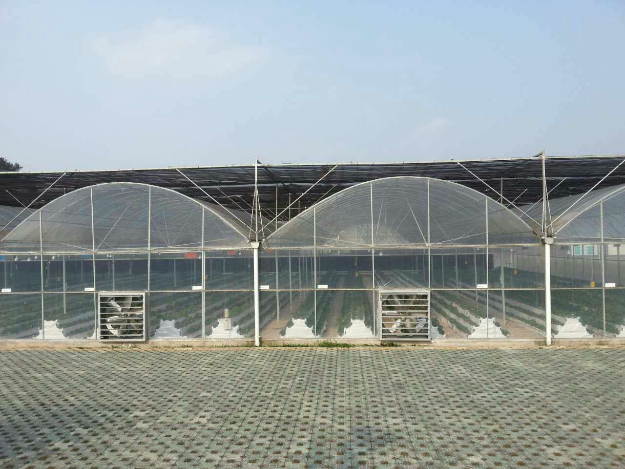 郑州诺博连栋温室大棚建造|蔬菜温室大棚建设|大棚骨架