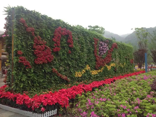 植物墙花盆价格-湖南沛颜植物墙花盆-湖南沛颜植物墙花盆价格