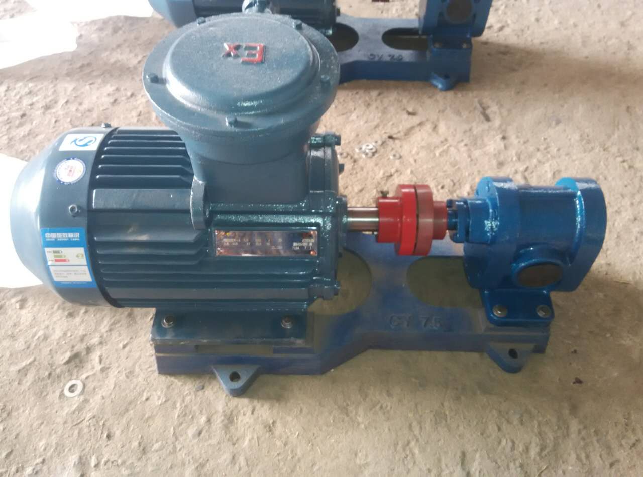 沧州源鸿泵业供应ZYB1-0.36硬齿面渣油泵，不锈钢齿轮泵，高温泵