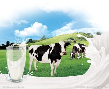 广州德国牛奶进口代理|牛奶进口报关