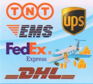 国际快递DHL一级代理 TNT国际货代 FEDEX货运公司UPS到印度