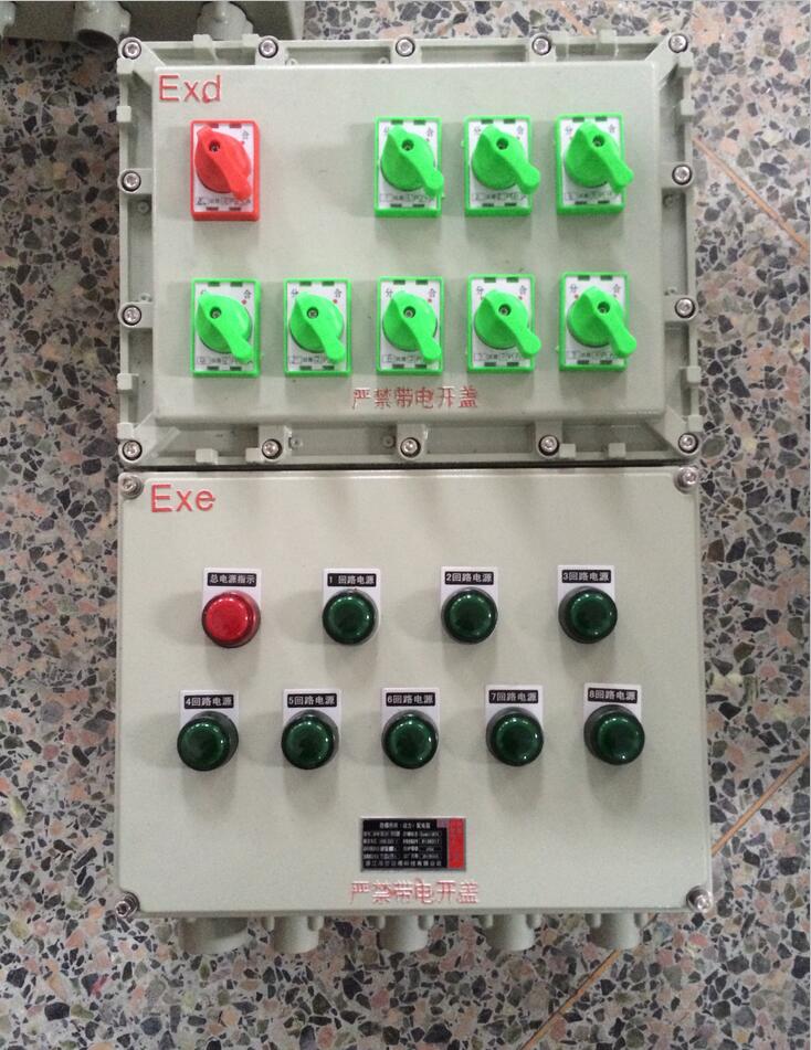 防爆动力配电箱BXD51系列4至12回路厂家